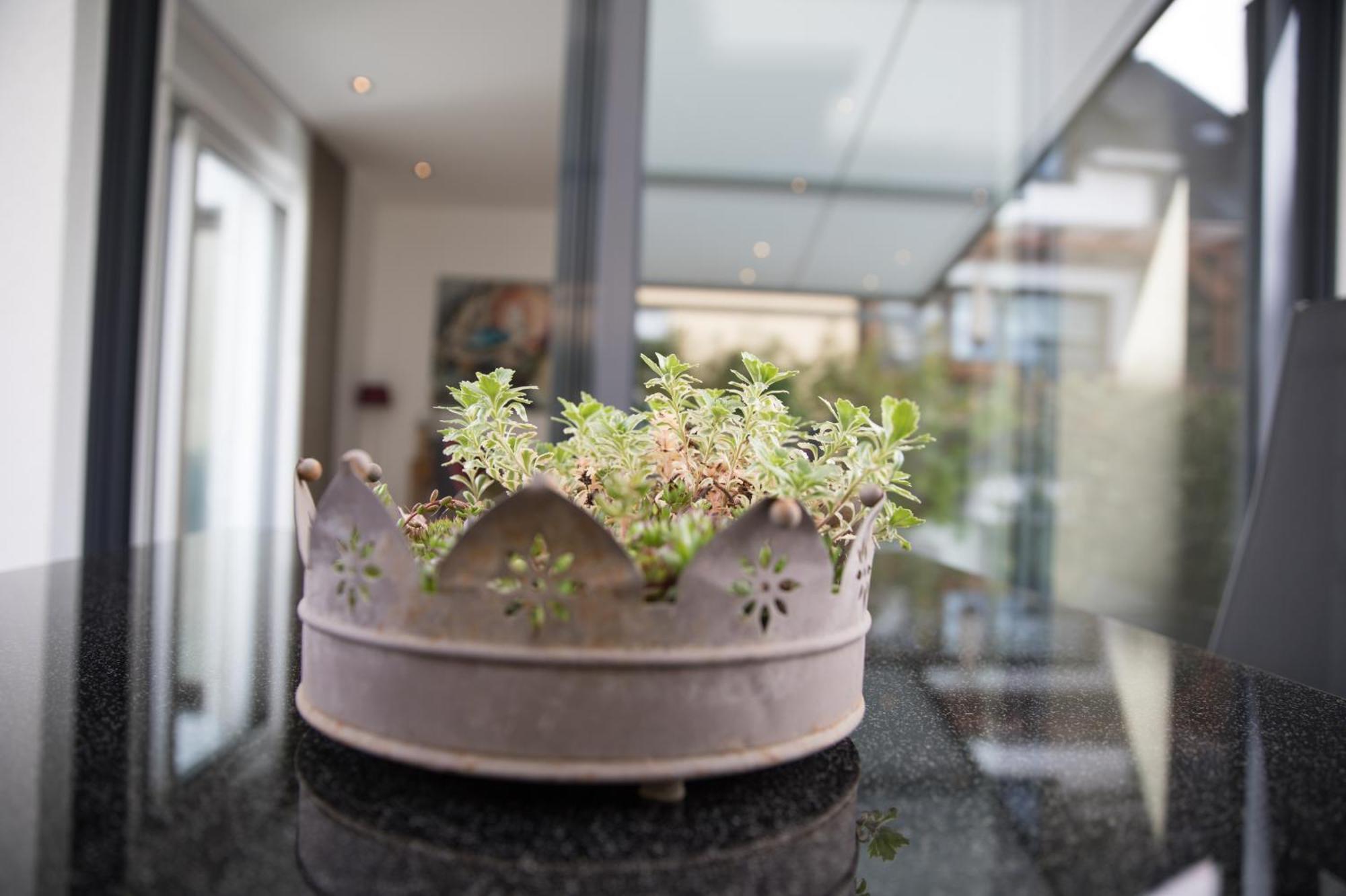 Ferienwohnung NEU - MoselAUSZEIT Traben Exterior foto