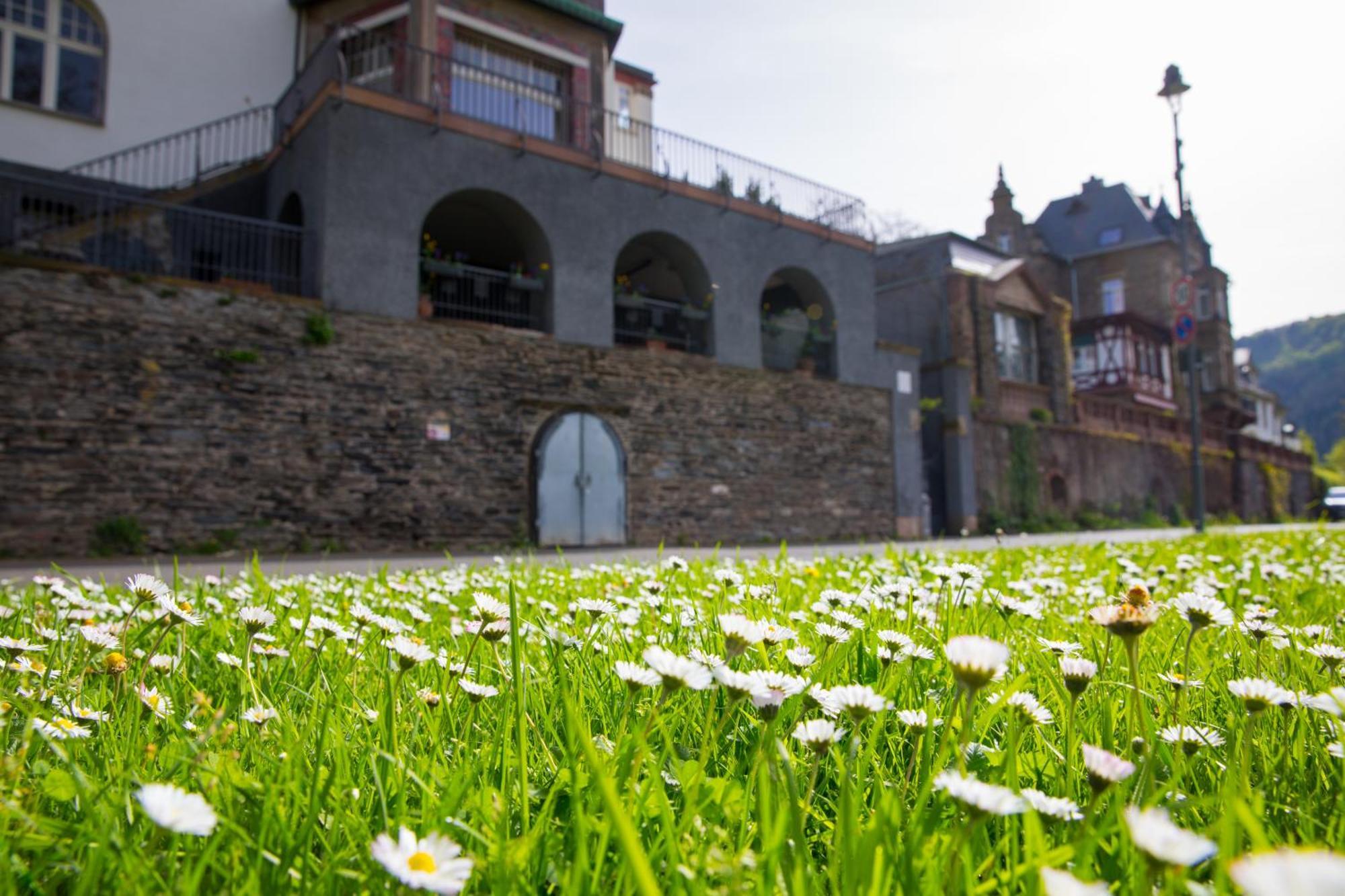 Ferienwohnung NEU - MoselAUSZEIT Traben Exterior foto